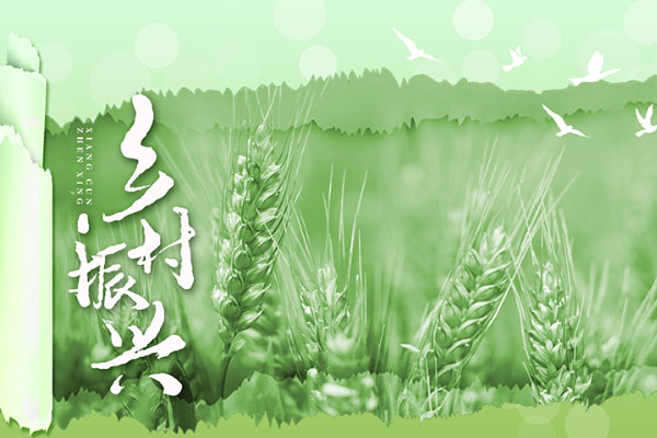 칫ҹӡ2023깤̽Ŀƶȸĸʵʩ֪ͨ췢202312ţ